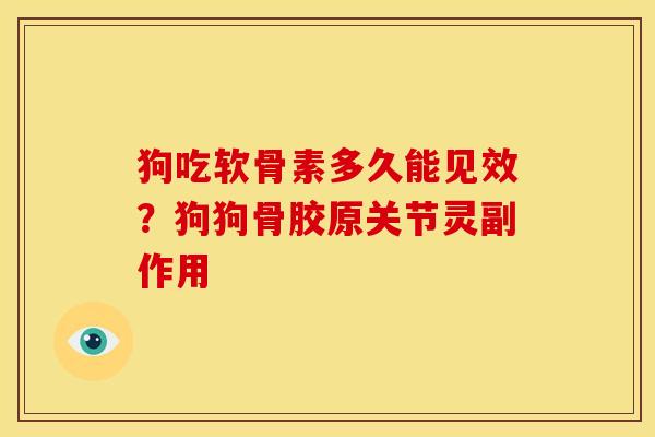 狗吃软骨素多久能见效？狗狗骨胶原关节灵副作用