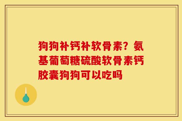 狗狗补钙补软骨素？氨基葡萄糖硫酸软骨素钙胶囊狗狗可以吃吗