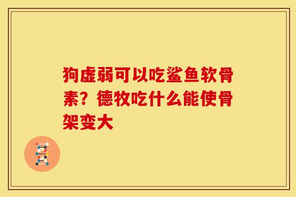 狗虚弱可以吃鲨鱼软骨素？德牧吃什么能使骨架变大