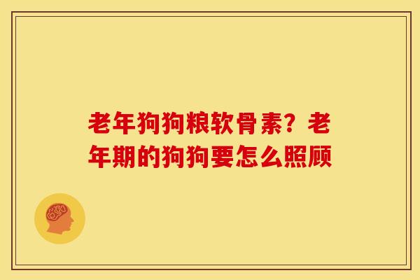 老年狗狗粮软骨素?老年期的狗狗要怎么照顾 老年狗狗粮软骨素?老年期的狗狗要怎么照顾