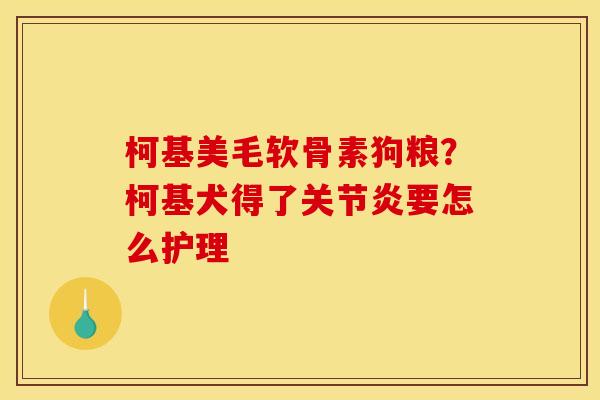 柯基美毛软骨素狗粮？柯基犬得了关节炎要怎么护理