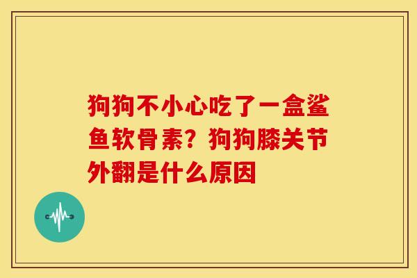 狗狗不小心吃了一盒鲨鱼软骨素？狗狗膝关节外翻是什么原因