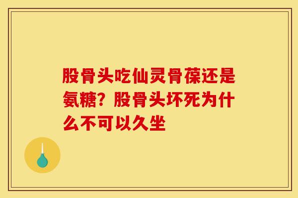 股骨头吃仙灵骨葆还是氨糖?股骨头坏死为什么不可以久坐 股骨头吃仙灵骨葆还是氨糖?股骨头坏死为什么不可以久坐