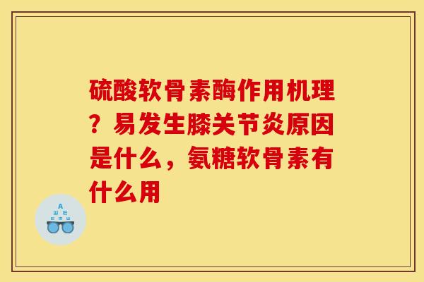 硫酸软骨素酶作用机理？易发生膝关节炎原因是什么，氨糖软骨素有什么用