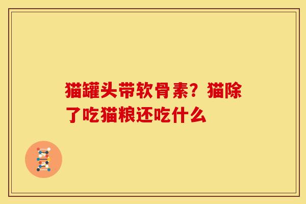 猫罐头带软骨素？猫除了吃猫粮还吃什么
