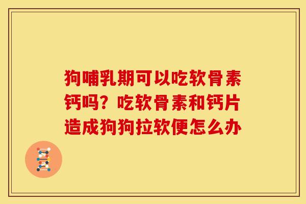 狗哺乳期可以吃软骨素钙吗？吃软骨素和钙片造成狗狗拉软便怎么办