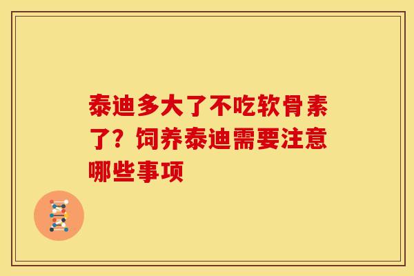 泰迪多大了不吃软骨素了？饲养泰迪需要注意哪些事项
