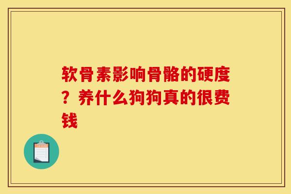 软骨素影响骨骼的硬度？养什么狗狗真的很费钱