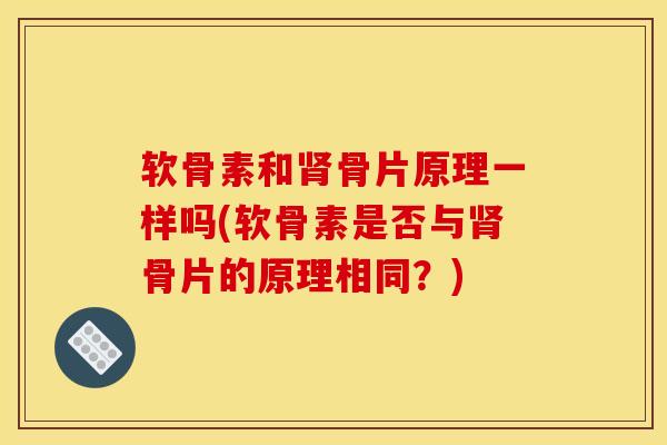 软骨素和肾骨片原理一样吗(软骨素是否与肾骨片的原理相同？)