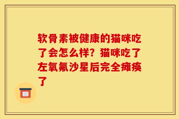 软骨素被健康的猫咪吃了会怎么样？猫咪吃了左氧氟沙星后完全瘫痪了