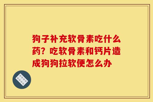 狗子补充软骨素吃什么药？吃软骨素和钙片造成狗狗拉软便怎么办