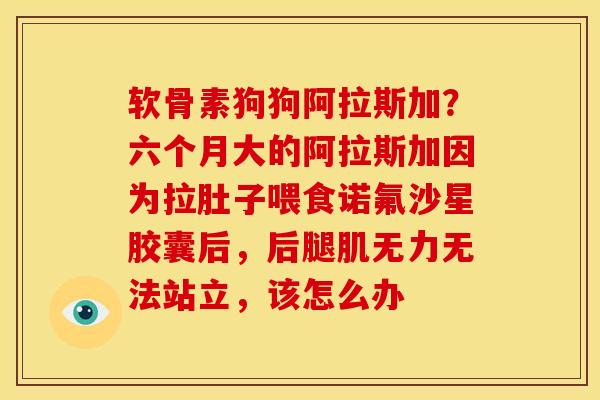 软骨素狗狗阿拉斯加？六个月大的阿拉斯加因为拉肚子喂食诺氟沙星胶囊后，后腿肌无力无法站立，该怎么办