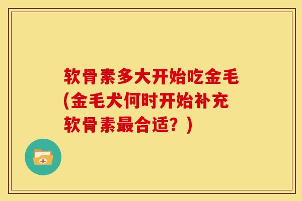 软骨素多大开始吃金毛(金毛犬何时开始补充软骨素最合适？)