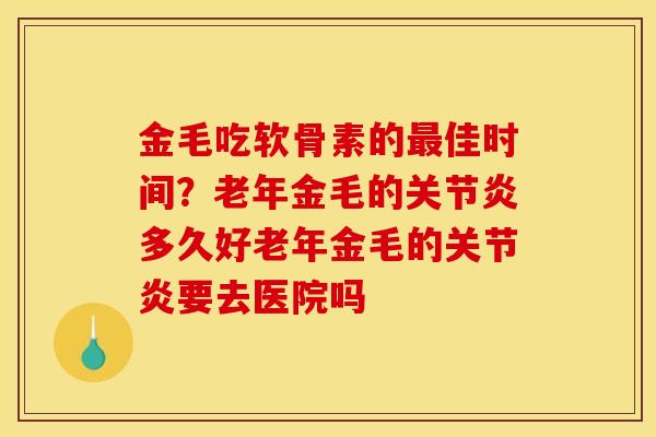 金毛吃软骨素的最佳时间？老年金毛的关节炎多久好老年金毛的关节炎要去医院吗