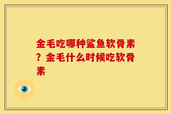 金毛吃哪种鲨鱼软骨素？金毛什么时候吃软骨素