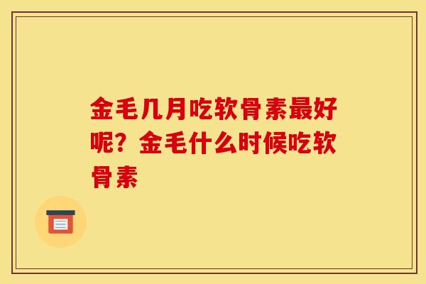 金毛几月吃软骨素最好呢？金毛什么时候吃软骨素