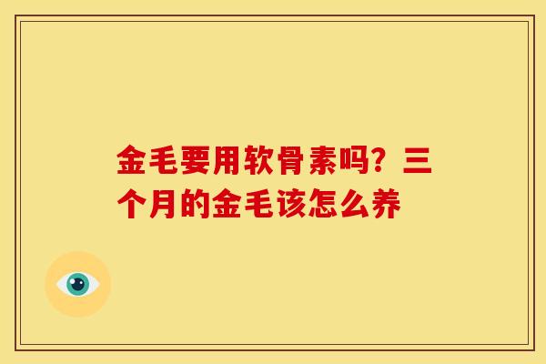 金毛要用软骨素吗？三个月的金毛该怎么养