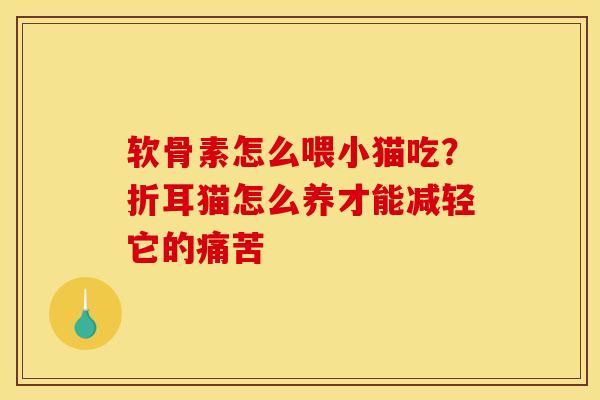 软骨素怎么喂小猫吃？折耳猫怎么养才能减轻它的痛苦