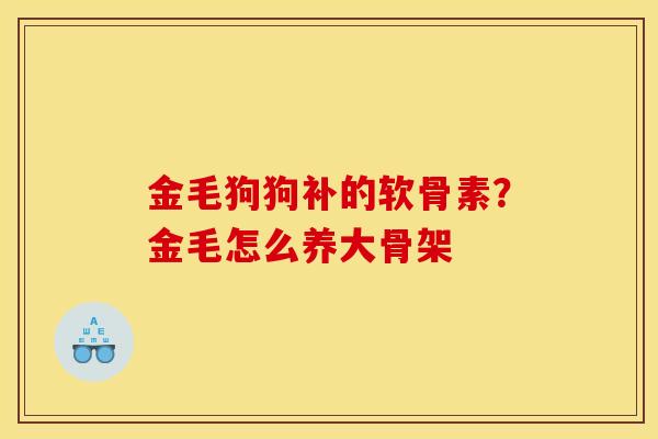 金毛狗狗补的软骨素?金毛怎么养大骨架 金毛狗狗补的软骨素?金毛怎么养大骨架
