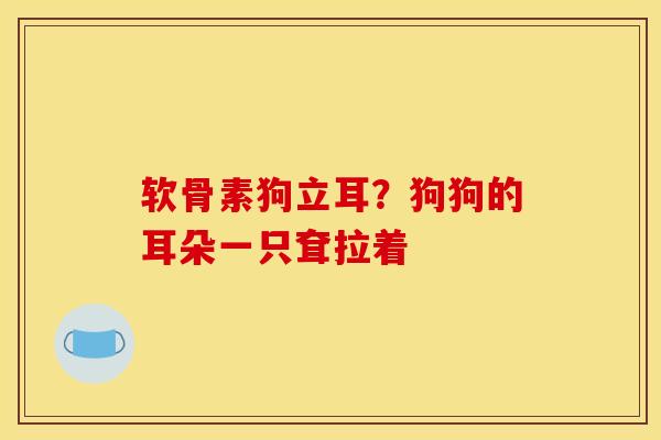 软骨素狗立耳？狗狗的耳朵一只耷拉着