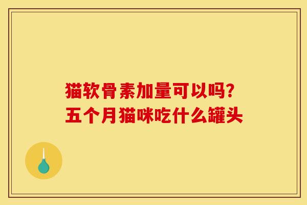 猫软骨素加量可以吗？五个月猫咪吃什么罐头
