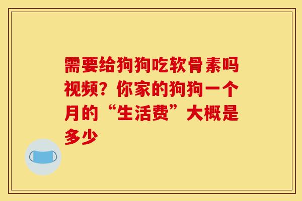需要给狗狗吃软骨素吗视频？你家的狗狗一个月的“生活费”大概是多少