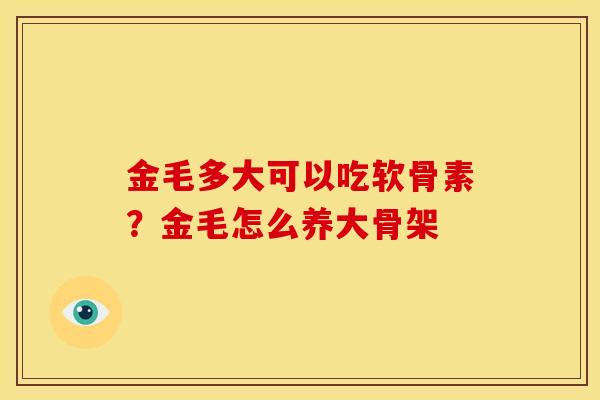 金毛多大可以吃软骨素？金毛怎么养大骨架