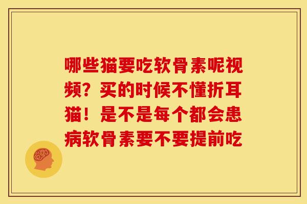 哪些猫要吃软骨素呢视频？买的时候不懂折耳猫！是不是每个都会患病软骨素要不要提前吃