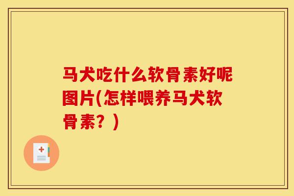 马犬吃什么软骨素好呢图片(怎样喂养马犬软骨素？)