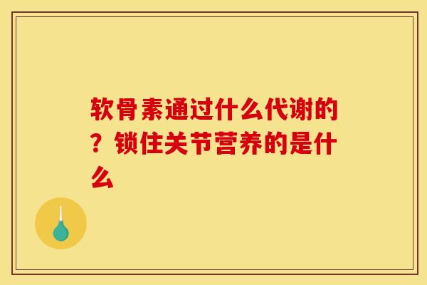软骨素通过什么代谢的？锁住关节营养的是什么