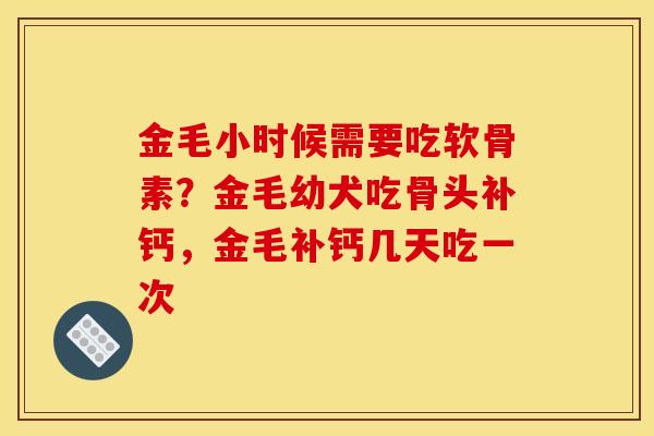 金毛小时候需要吃软骨素？金毛幼犬吃骨头补钙，金毛补钙几天吃一次