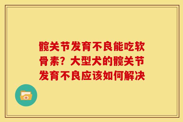髋关节发育不良能吃软骨素？大型犬的髋关节发育不良应该如何解决