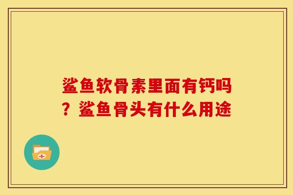 鲨鱼软骨素里面有钙吗？鲨鱼骨头有什么用途