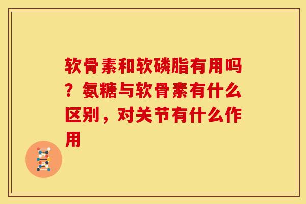 软骨素和软磷脂有用吗？氨糖与软骨素有什么区别，对关节有什么作用