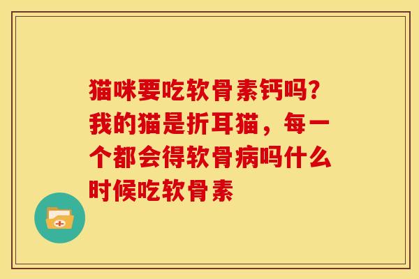 猫咪要吃软骨素钙吗？我的猫是折耳猫，每一个都会得软骨病吗什么时候吃软骨素