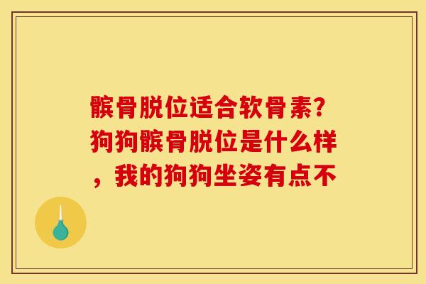髌骨脱位适合软骨素？狗狗髌骨脱位是什么样，我的狗狗坐姿有点不