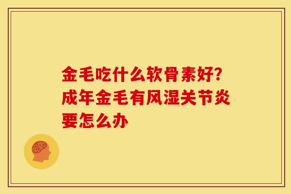 金毛吃什么软骨素好？成年金毛有风湿关节炎要怎么办