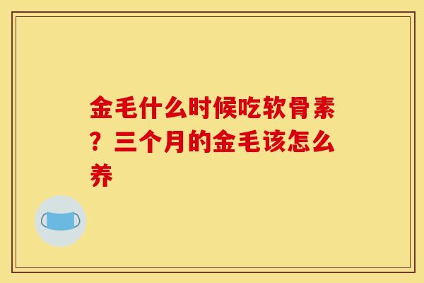 金毛什么时候吃软骨素？三个月的金毛该怎么养