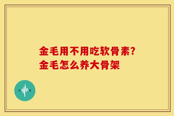 金毛用不用吃软骨素？金毛怎么养大骨架