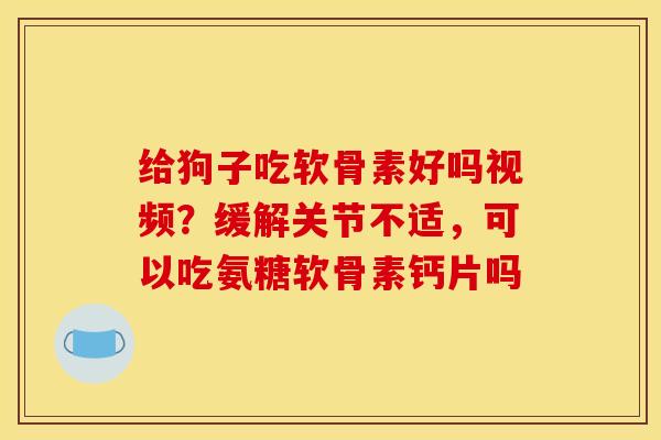 给狗子吃软骨素好吗视频？缓解关节不适，可以吃氨糖软骨素钙片吗