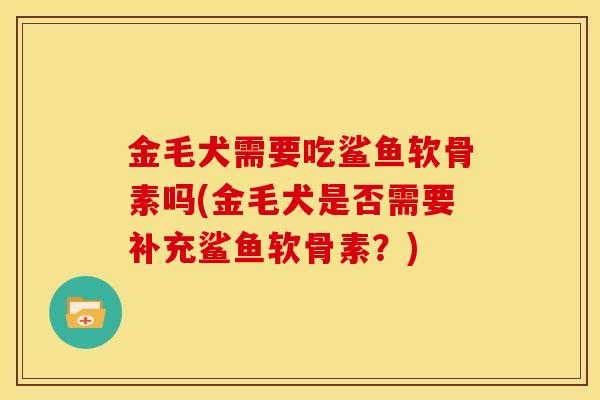 金毛犬需要吃鲨鱼软骨素吗(金毛犬是否需要补充鲨鱼软骨素？)