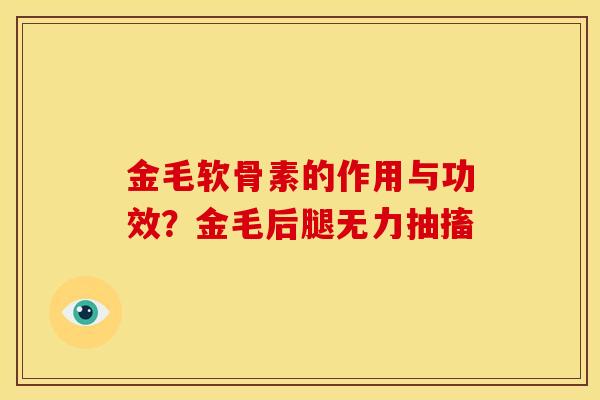 金毛软骨素的作用与功效？金毛后腿无力抽搐