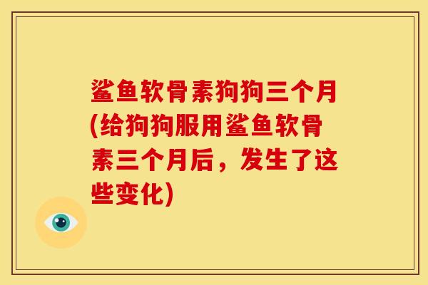 鲨鱼软骨素狗狗三个月(给狗狗服用鲨鱼软骨素三个月后，发生了这些变化)