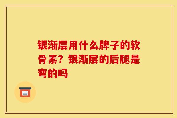 银渐层用什么牌子的软骨素?银渐层的后腿是弯的吗 银渐层用什么牌子的软骨素?银渐层的后腿是弯的吗