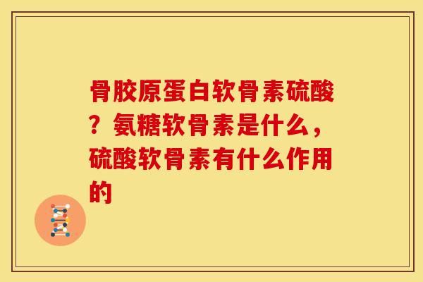 骨胶原蛋白软骨素硫酸？氨糖软骨素是什么，硫酸软骨素有什么作用的