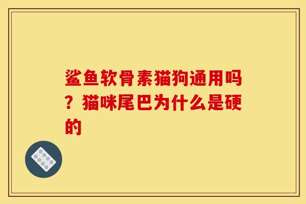 鲨鱼软骨素猫狗通用吗？猫咪尾巴为什么是硬的