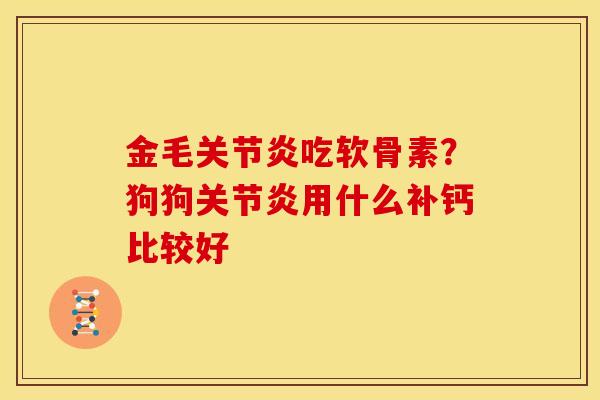 金毛关节炎吃软骨素？狗狗关节炎用什么补钙比较好