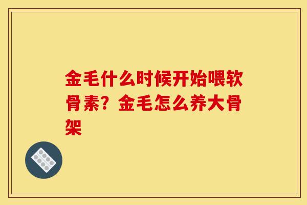 金毛什么时候开始喂软骨素？金毛怎么养大骨架