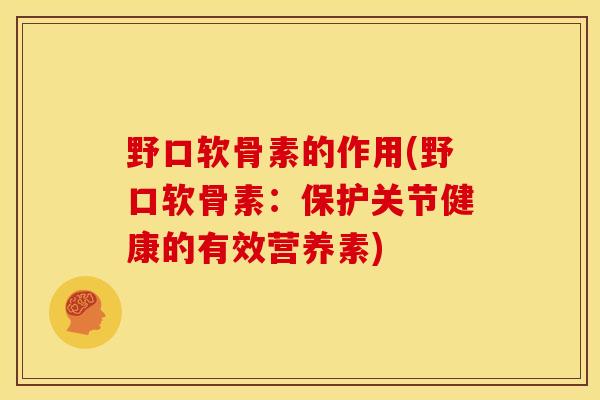 野口软骨素的作用(野口软骨素：保护关节健康的有效营养素)