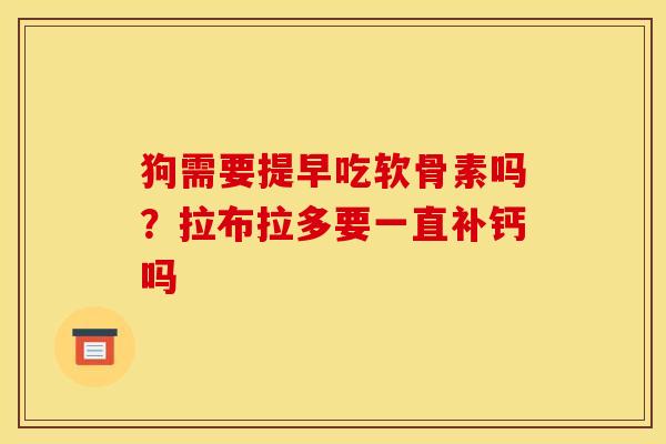 狗需要提早吃软骨素吗？拉布拉多要一直补钙吗